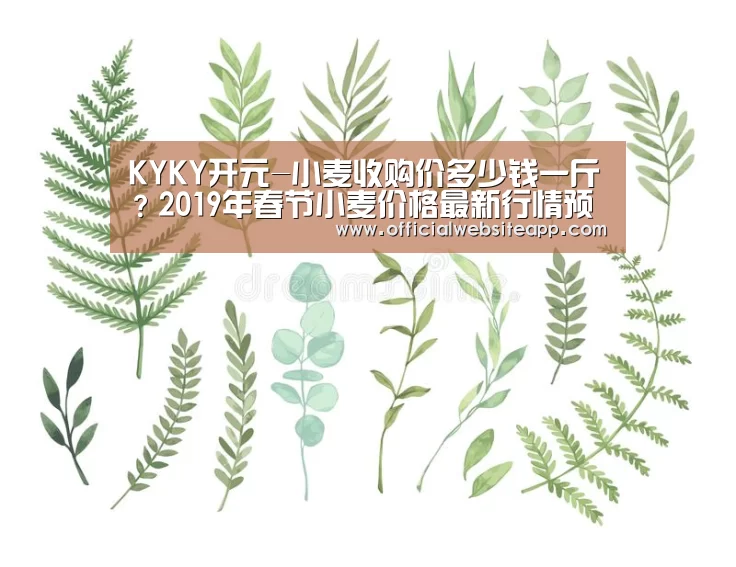 KYKY开元-小麦收购价多少钱一斤?2019年春节小麦价格最新行情预测(图3) 开元集团网站官网