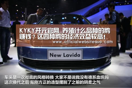 KYKY开元官网_养殖什么品种的鹅赚钱？这四种鹅的经济效益较高！